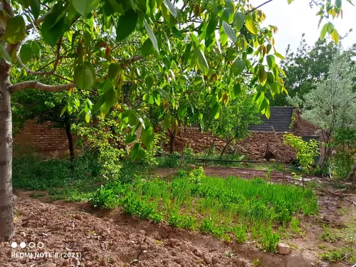 تصویر 5 - اقامتگاه بوم‌گردی اقامتگاه تفریحی در  خدابنده