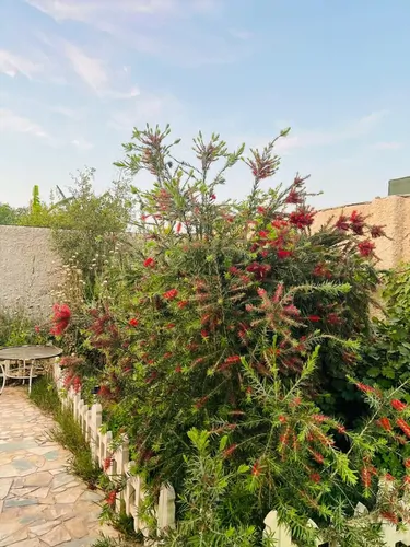 تصویر 13 - ویلا استخردار آبسرد گندم در  دزفول