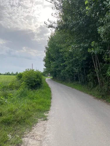 تصویر 17 - ویلا شالیزار در  خمام