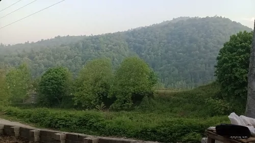 تصویر 2 - ویلا بومگردی ساجدی در لفور
