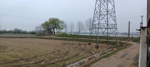 تصویر 16 - ویلا شالیزار در قائمشهر