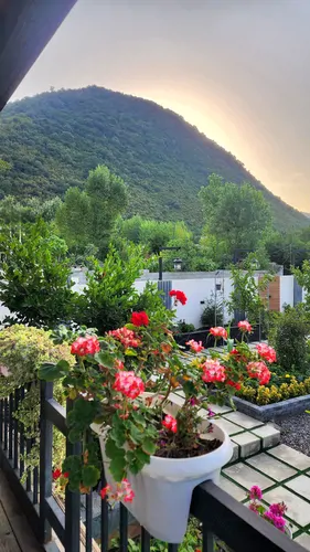 تصویر 31 - ویلا دوبلکس چوبی بنفشه در  ماسال