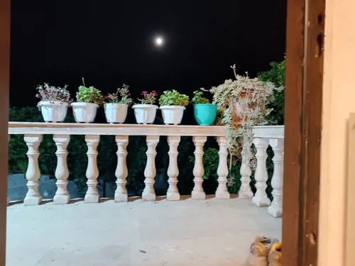 تصویر 25 - ویلا جنگلی توشی  در  سیاهکل