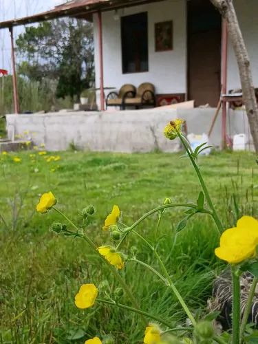 تصویر 13 - ویلا نوکاشت در ماسال