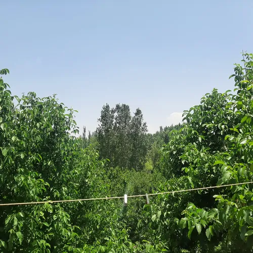 تصویر 4 - ویلا زاینده رود در سامان
