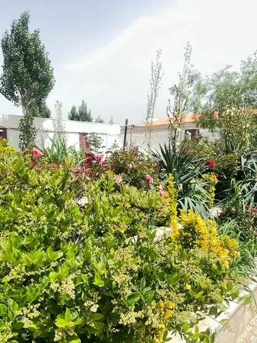 تصویر 18 - ویلا استخردار آبگرم گل گیسو با فوتبال دستی در  سهیلیه