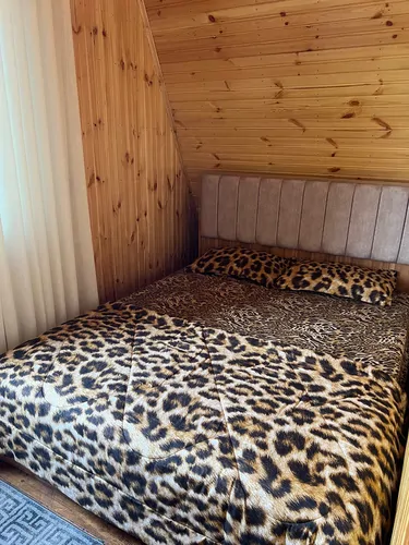 تصویر 5 - کلبه ویلا سوئیسی رو به دریا در تالش