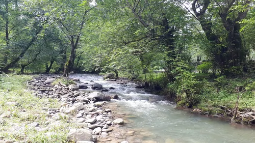 تصویر 32 - ویلا  جنگلی رایان در  شیرگاه