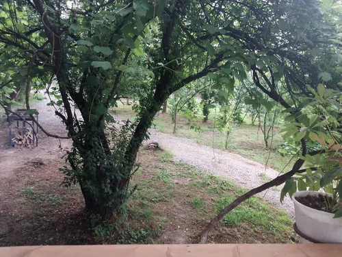 تصویر 22 - ویلا سنتی ایاز در  رشت