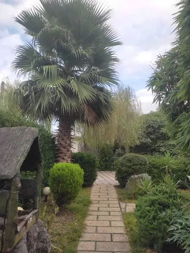 تصویر 23 - ویلا استخردار آبگرم ماتیسا با بیلیارد در  نور