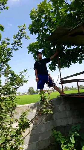 تصویر 4 - کلبه کلبه دوستان در سرخ رود