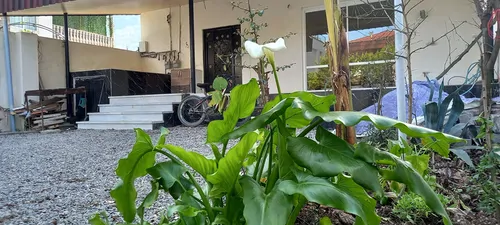 تصویر 17 - آپارتمان مبله گل نرگس در نوشهر