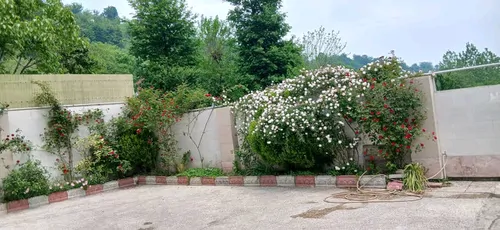 تصویر 13 - ویلا حسنخانی (۱۰۰۱) در ماسال