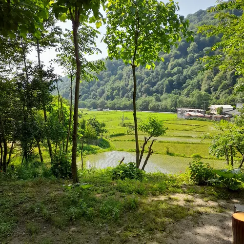 تصویر 17 - کلبه چوبی خرسند در  ماسال