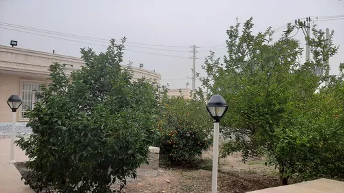 تصویر 18 - ویلا باغ قمیش با ایرهاکی در  دزفول