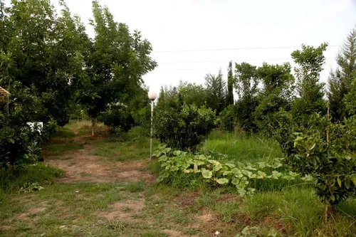 تصویر 14 - کلبه سوییسی هانیه در  عباس آباد