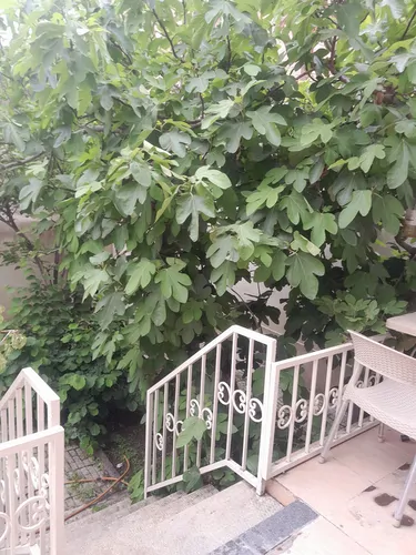 تصویر 11 - آپارتمان مبله حبشی در  خوی