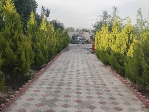 تصویر 2 - ویلا باغ ویلا مسلم در ماهدشت