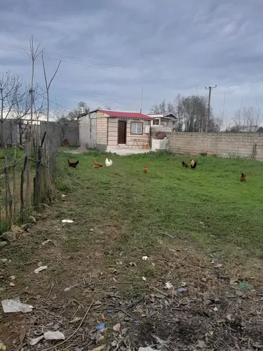 تصویر 12 - ویلا ققنوس در  فومن