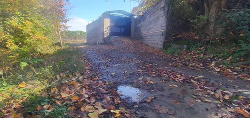 تصویر 22 - کلبه رایکا (۲) در سوادکوه