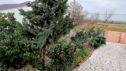 تصویر 30 - کلبه فلت سراوان در سنگر