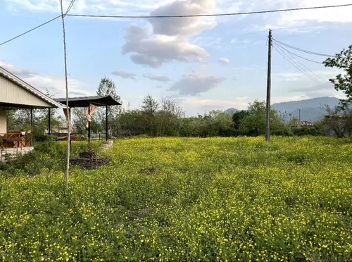 تصویر 3 - ویلا خیرخواه در  ماسال