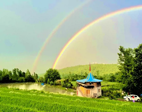 تصویر ۱ - کلبه جنگلی دریاچه لفور در  لفور