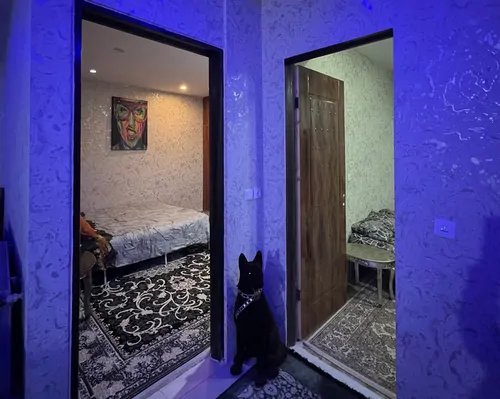 تصویر 10 - ویلا ویلای رز استخردار آبگرم  در  شهریار