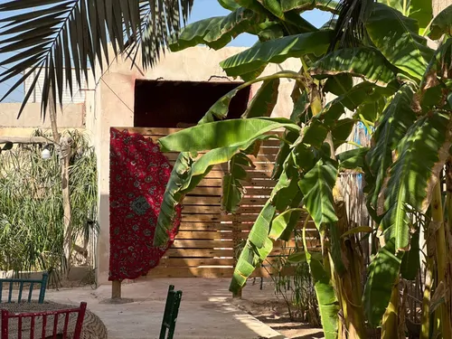 تصویر 35 - ویلا باغ استوایی عمارت چند درخت در هرمز