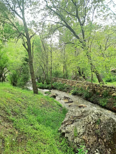 تصویر 21 - ویلا استخردار آبسرد زرچشمه در  کردان