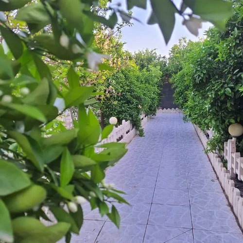 تصویر 14 - ویلا استخردار آبسرد مهتاب طلایی در  دزفول