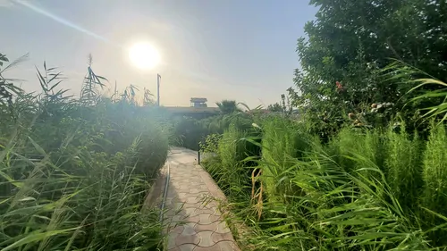 تصویر 23 - ویلا باغ استخردار آبسرد مهرآباد در اصفهان