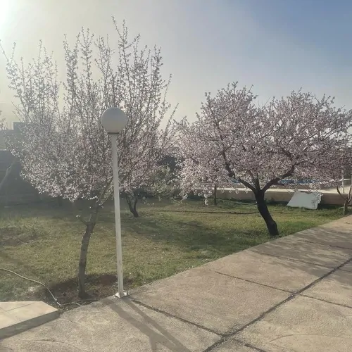 تصویر 4 - ویلا باغ ویلا پانیسا در شیراز