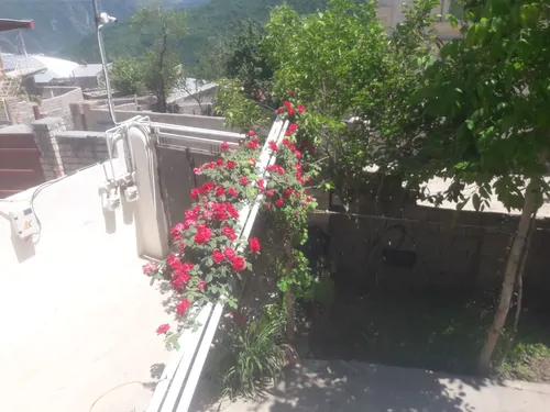 تصویر 11 - خانه ویلایی کوهسار (1) در  رامیان