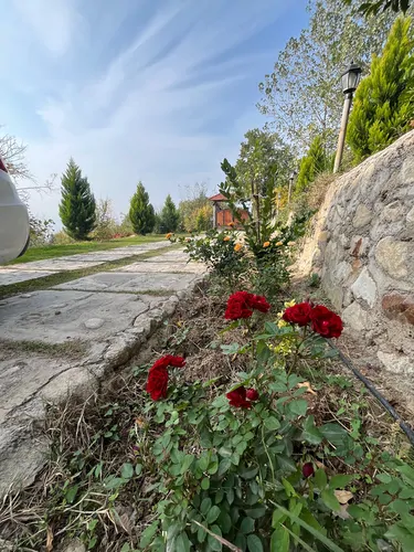 تصویر 19 - ویلا  استخردار آبگرم باران در  بهشهر