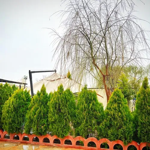 تصویر 27 - ویلا استخردار سرپوشیده آبگرم بید مجنون در  سهیلیه