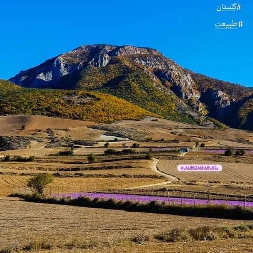 تصویر 5 - اقامتگاه بوم‌گردی بوم گردی وامنان در  آزادشهر