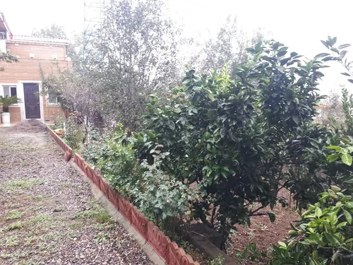 تصویر 2 - ویلا کوهپایه در لاهیجان