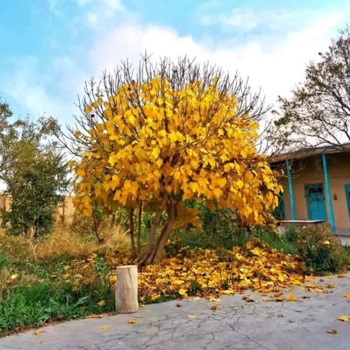 تصویر 4 - اقامتگاه بومگردی بومگردی بابا اسماعیل در درگز