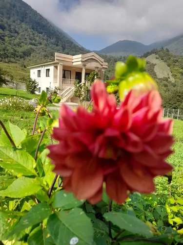 تصویر 21 - ویلا جنگلی لزیر واز در  چمستان