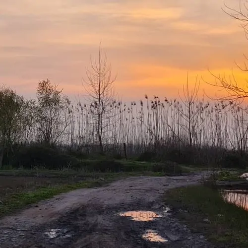 تصویر 16 - ویلا  سنتی افرا  در  انزلی