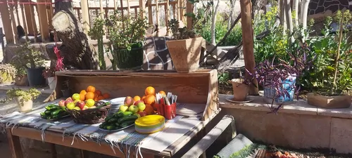 تصویر 5 - اقامتگاه بومگردی بوم گردی سرای جام در سمنان