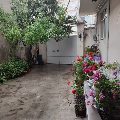 تصویر 9 - آپارتمان  مهران در  فومن