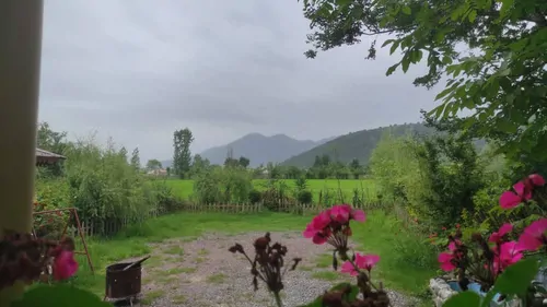 تصویر 16 - کلبه چوبی اولس با جکوزی  در  ماسال