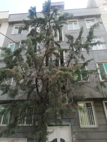 تصویر 10 - آپارتمان مبله فکوری در پونک (7) در  تهران