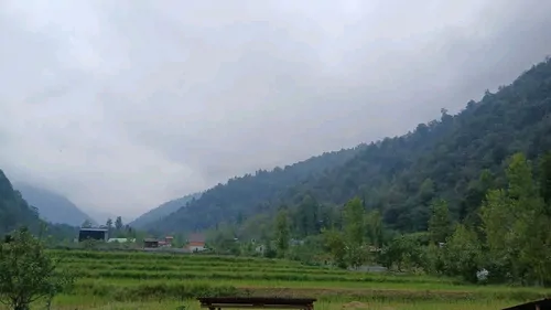 تصویر 2 - ویلا خانه ویلایی کنار جنگل و رودخانه در شیرگاه
