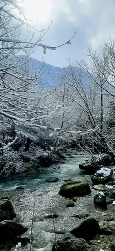 تصویر 30 - ویلا دلنواز کنار رودخانه در ماسال