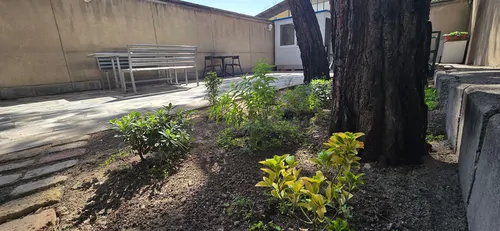 تصویر 9 - آپارتمان نیما (اتاق 11) در ونک در  تهران