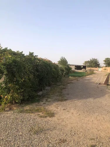 تصویر 5 - ویلا باغ ویلا حیدر در  گناباد