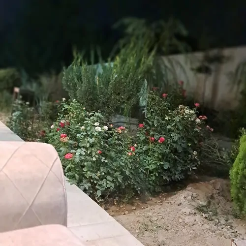 تصویر 5 - ویلا باغچه شهرکی  در  ماهدشت